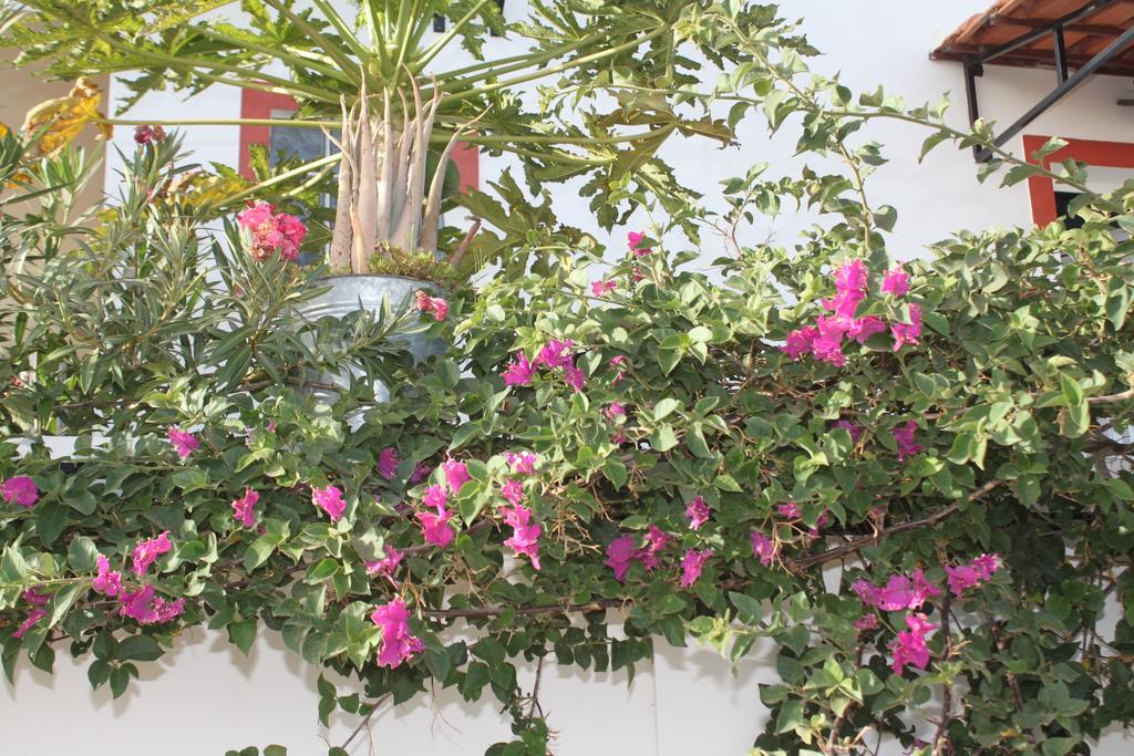 Yria Residencial Bed and Breakfast Porto Novo Exteriör bild