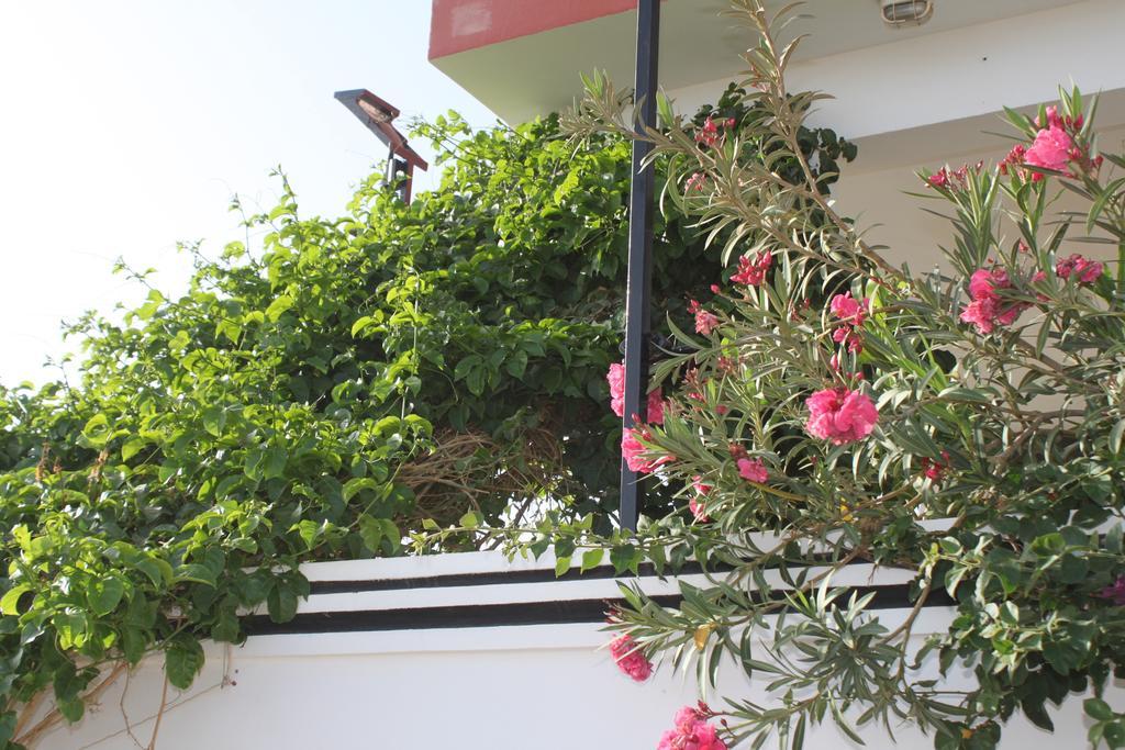 Yria Residencial Bed and Breakfast Porto Novo Exteriör bild